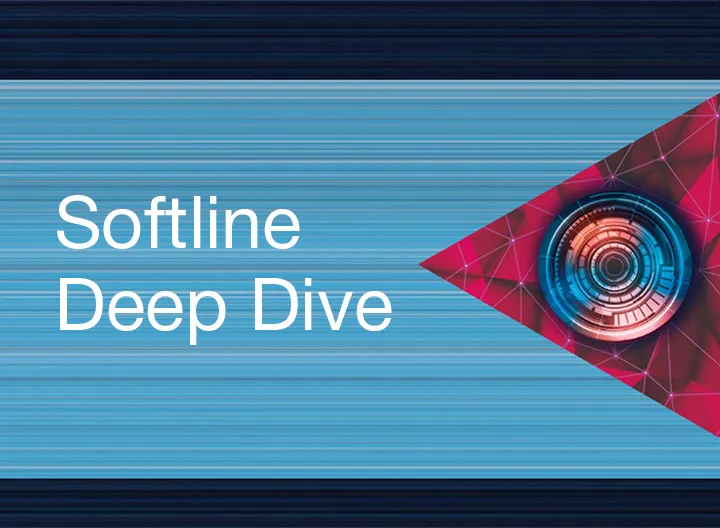 АО “Новые коммуникационные технологии” приняло участие в саммите Softline Deep Dive 2020 в Сочи.
